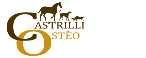 Castrilli Ostéo